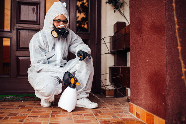 Reliable Ant Control contractor in Nahunta, GA by Show Me Pest Control
